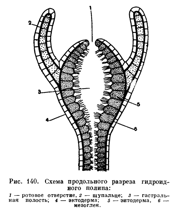 Как вывести с омг